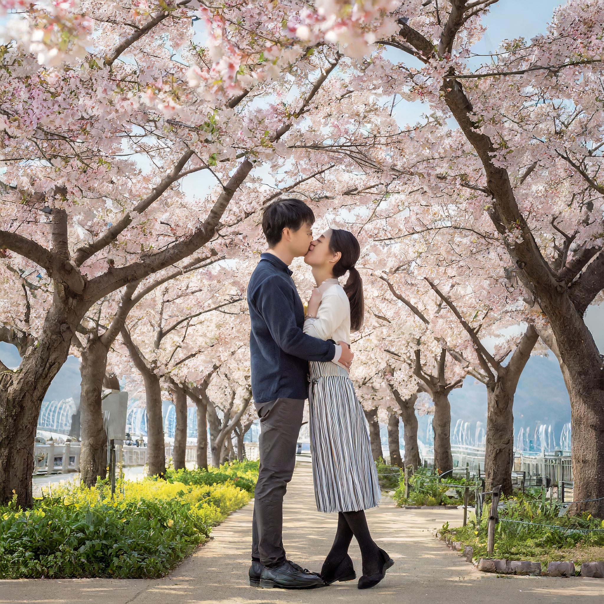 couple kissing under cherry blossom trees in south korea in the distance